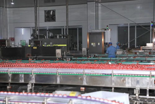 貴陽好彩頭食品新增生產線正式投產