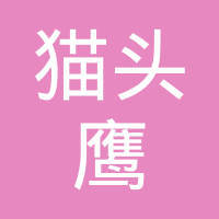 探秘貓頭鷹網絡科技 優勢、業務與市場評價