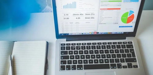 雙循環(huán) 新經濟格局下企業(yè)商標品牌的定位和發(fā)展